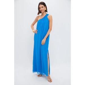 POMANDER PLACE Baleine Blue Soleil Gown Size M NWT Retail $148 Tuckernuck
